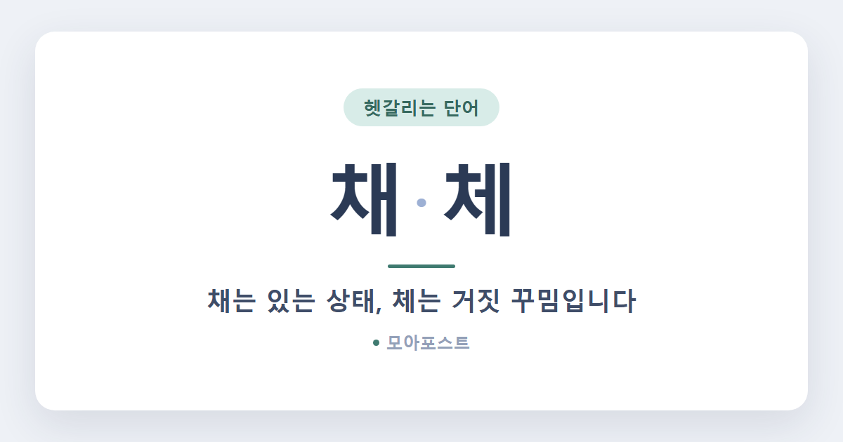 채 체 차이, 발음이 같아도 뜻은 정반대입니다