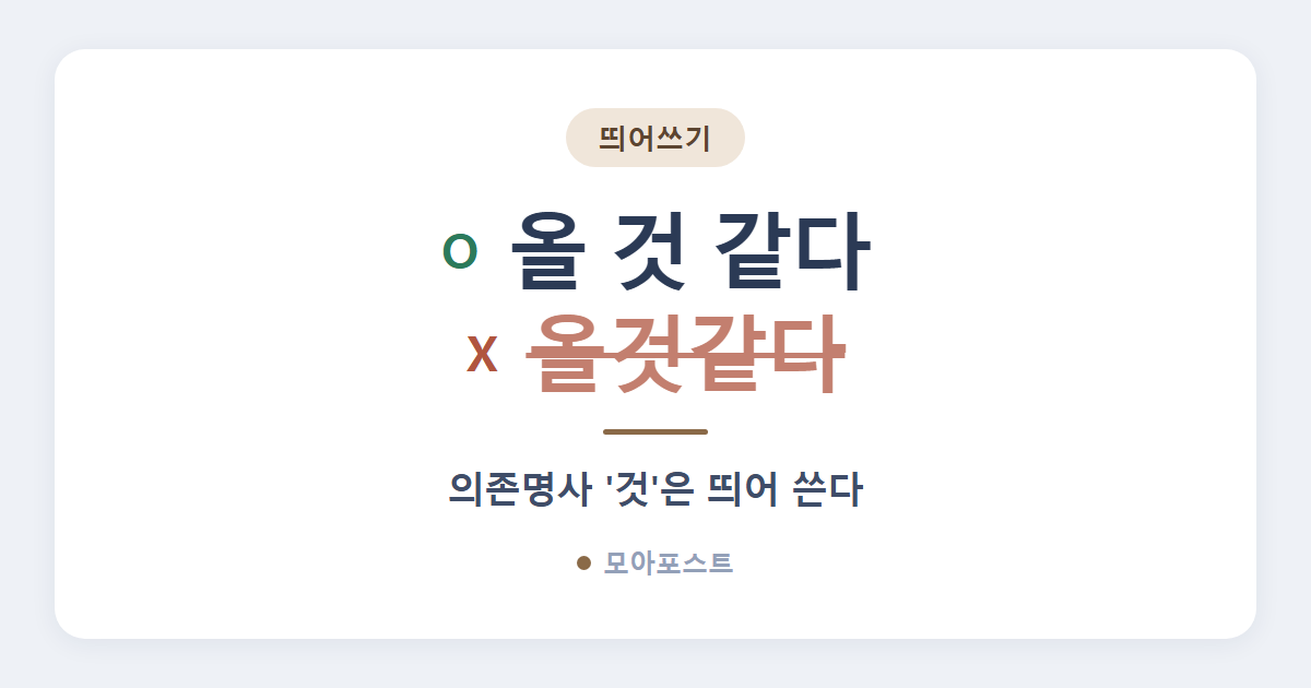것 같다 띄어쓰기, ‘것’과 ‘같다’ 모두 띄웁니다