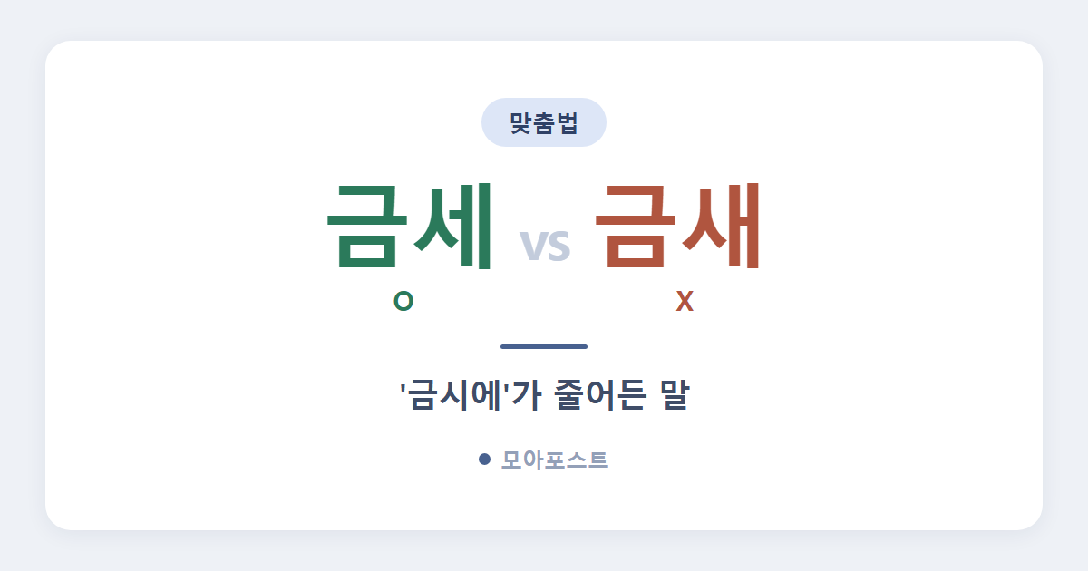 금세 금새 차이, 왜 ‘세’가 맞을까 (금시에가 준 말)
