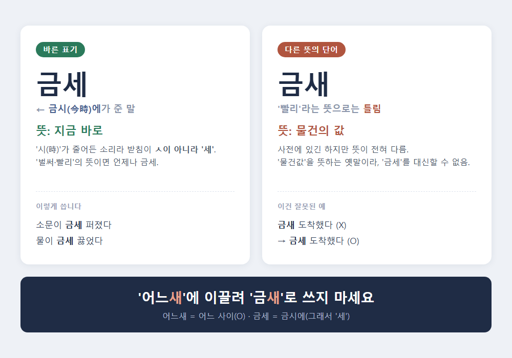 금세 금새 차이 비교 - 금세는 금시에가 준 말, 금새는 물건 값