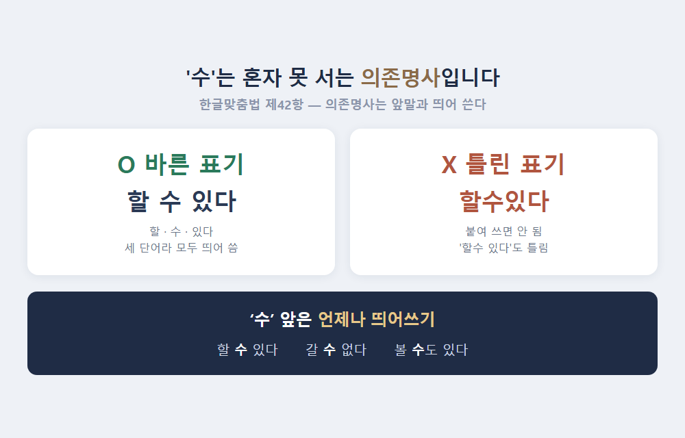 할 수 있다 할수있다 띄어쓰기 - 의존명사 수는 띄어 쓴다