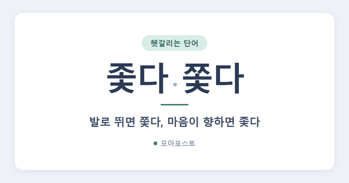 좇다 쫓다 차이, 발이 움직이면 쫓다입니다