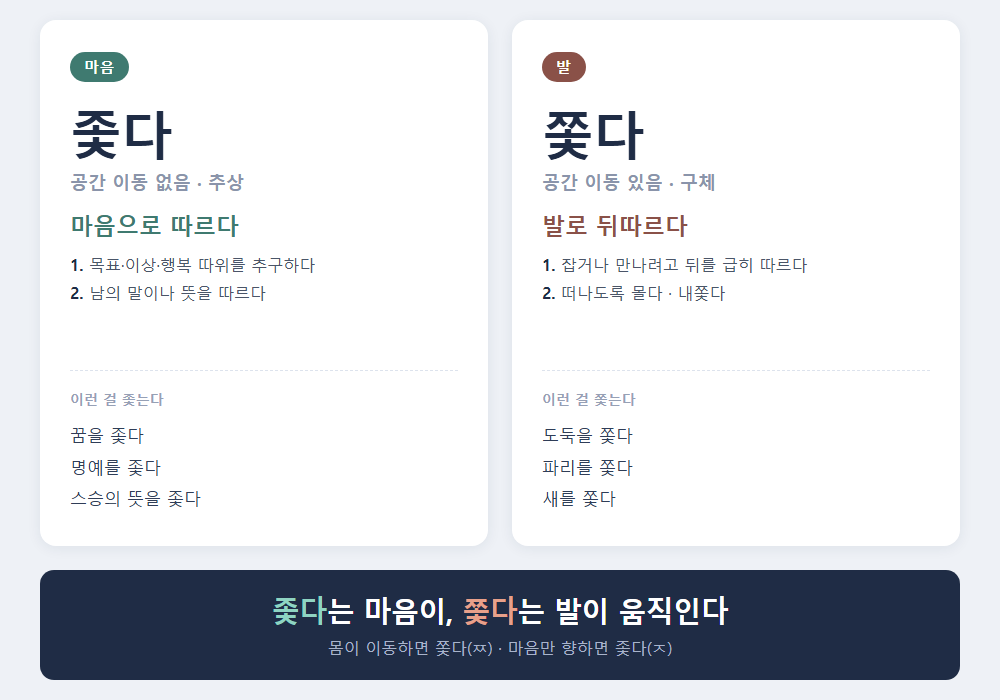 좇다 쫓다 차이 비교 - 좇다는 마음이, 쫓다는 발이 움직인다