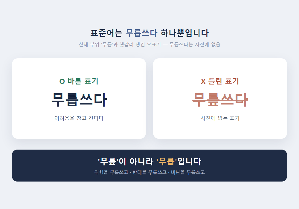 무릅쓰다 무릎쓰다 차이 비교 - 표준어는 무릅쓰다입니다