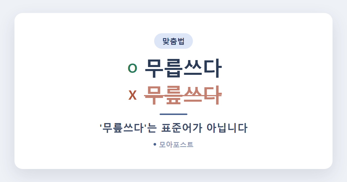무릅쓰다 무릎쓰다 차이, 헷갈리는 이유 1가지