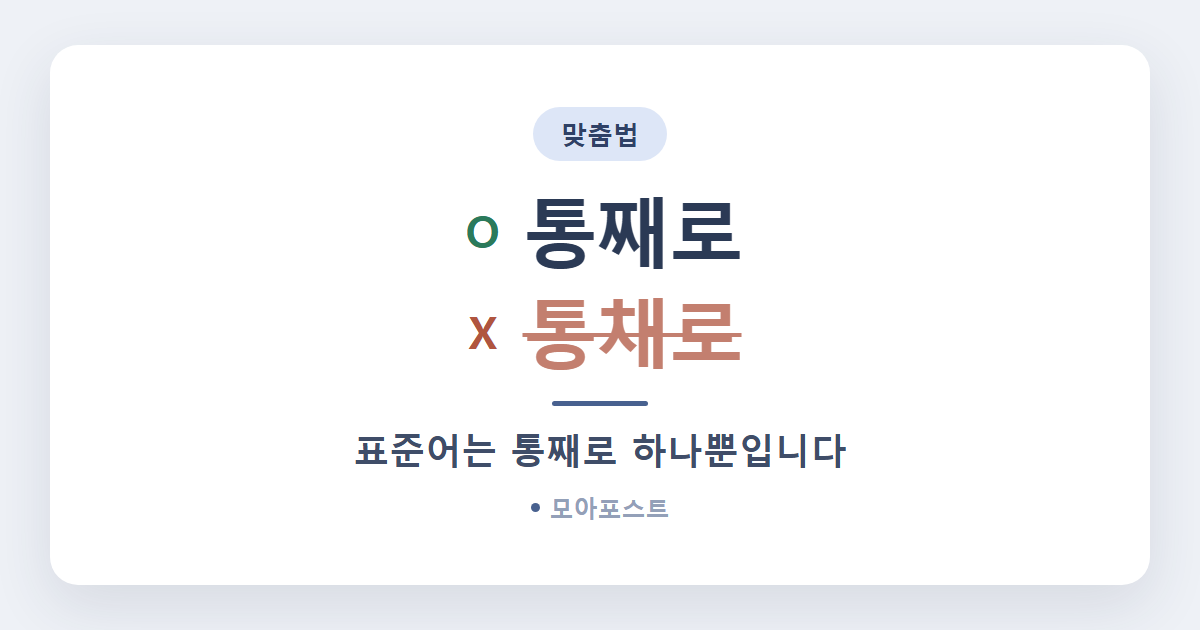 통째로 통채로 차이, 헷갈리는 이유 1가지